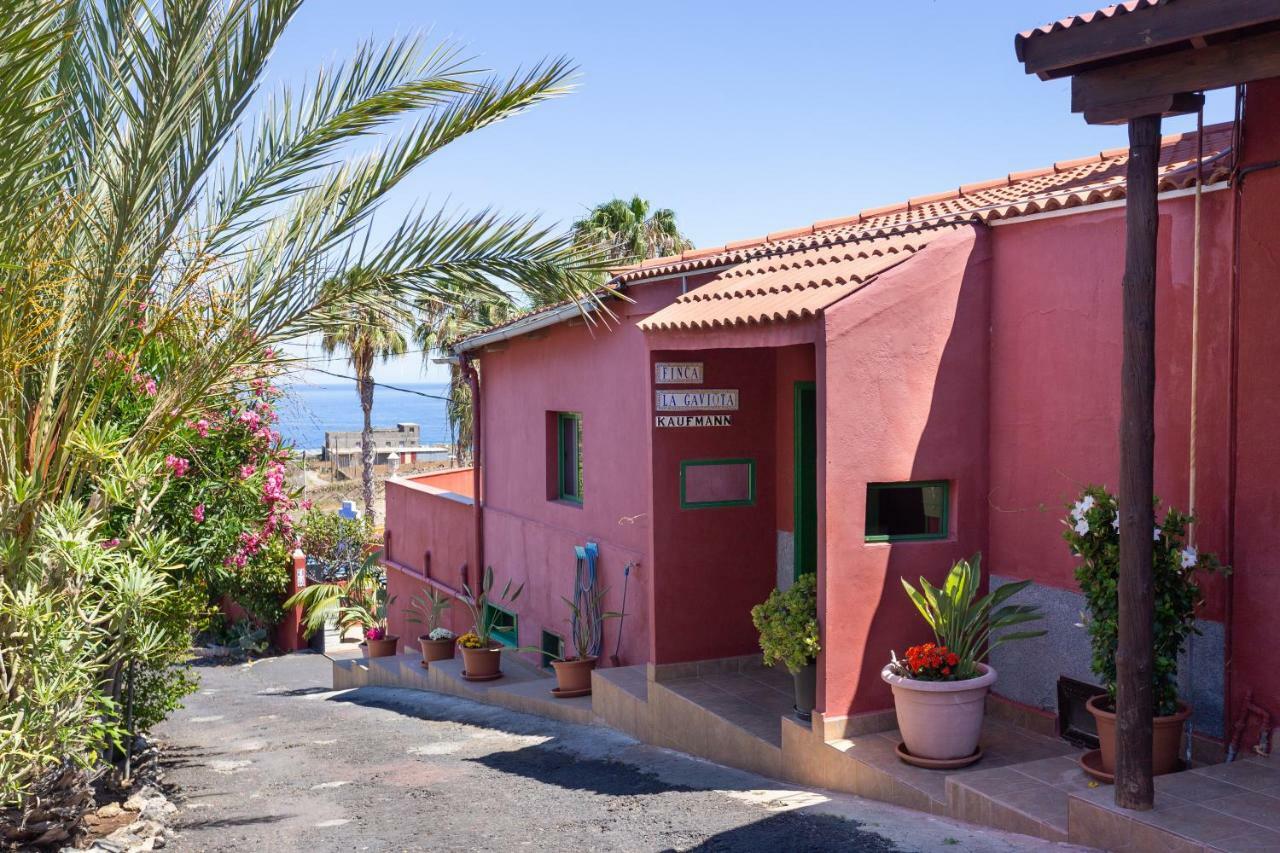 Finca La Gaviota - El Granito Икод-де-лос-Винос Экстерьер фото